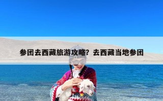 参团去西藏旅游攻略？去西藏当地参团