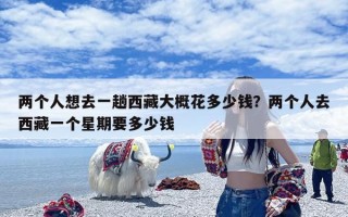 两个人想去一趟西藏大概花多少钱？两个人去西藏一个星期要多少钱