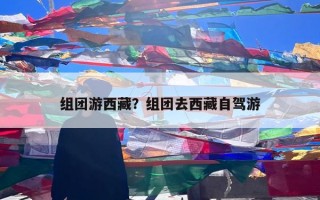 组团游西藏？组团去西藏自驾游