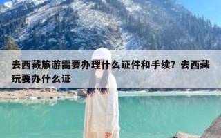 去西藏旅游需要办理什么证件和手续？去西藏玩要办什么证