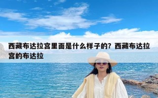 西藏布达拉宫里面是什么样子的？西藏布达拉宫的布达拉