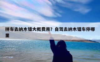 拼车去纳木错大概费用？自驾去纳木错车停哪里