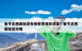 春节去西藏旅游有哪些费用和项目？春节去西藏旅游攻略