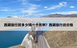 西藏旅行团多少钱一个月啊？西藏旅行团价格