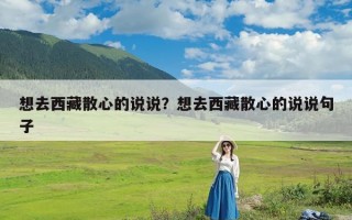 想去西藏散心的说说？想去西藏散心的说说句子