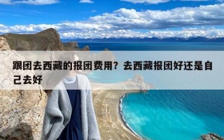 跟团去西藏的报团费用？去西藏报团好还是自己去好