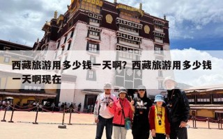 西藏旅游用多少钱一天啊？西藏旅游用多少钱一天啊现在