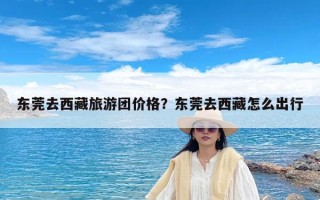 东莞去西藏旅游团价格？东莞去西藏怎么出行