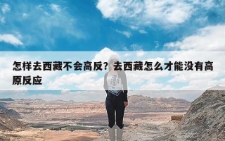 怎样去西藏不会高反？去西藏怎么才能没有高原反应