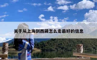 关于从上海到西藏怎么走最好的信息