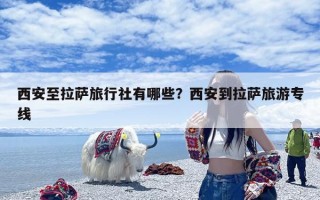 西安至拉萨旅行社有哪些？西安到拉萨旅游专线