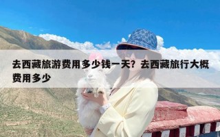 去西藏旅游费用多少钱一天？去西藏旅行大概费用多少