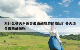 为什么冬天不适合去西藏旅游的原因？冬天适合去西藏玩吗