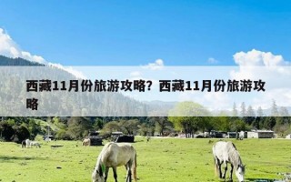 西藏11月份旅游攻略？西藏11月份旅游攻略