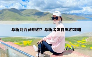 阜新到西藏旅游？阜新出发自驾游攻略