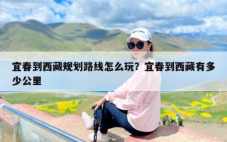 宜春到西藏规划路线怎么玩？宜春到西藏有多少公里