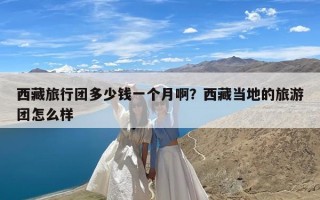 西藏旅行团多少钱一个月啊？西藏当地的旅游团怎么样