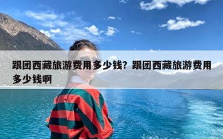 跟团西藏旅游费用多少钱？跟团西藏旅游费用多少钱啊