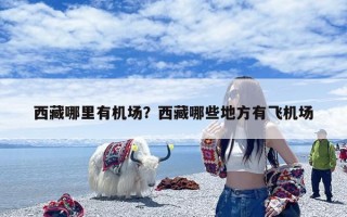 西藏哪里有机场？西藏哪些地方有飞机场