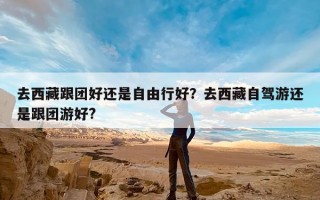 去西藏跟团好还是自由行好？去西藏自驾游还是跟团游好?