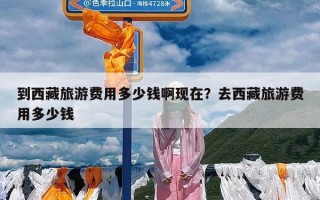 到西藏旅游费用多少钱啊现在？去西藏旅游费用多少钱