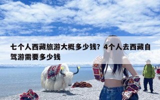 七个人西藏旅游大概多少钱？4个人去西藏自驾游需要多少钱