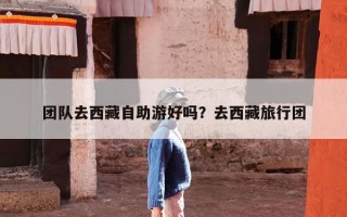 团队去西藏自助游好吗？去西藏旅行团