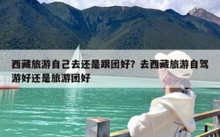 西藏旅游自己去还是跟团好？去西藏旅游自驾游好还是旅游团好