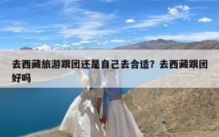 去西藏旅游跟团还是自己去合适？去西藏跟团好吗