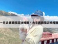 一月去西藏旅游攻略图？火车西藏旅游攻略图