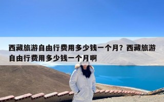 西藏旅游自由行费用多少钱一个月？西藏旅游自由行费用多少钱一个月啊