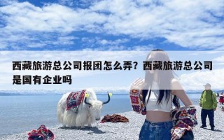 西藏旅游总公司报团怎么弄？西藏旅游总公司是国有企业吗