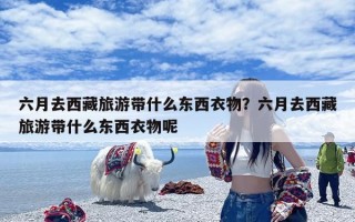 六月去西藏旅游带什么东西衣物？六月去西藏旅游带什么东西衣物呢