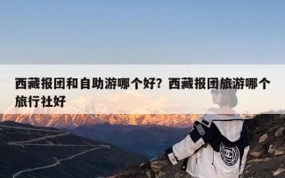 西藏报团和自助游哪个好？西藏报团旅游哪个旅行社好