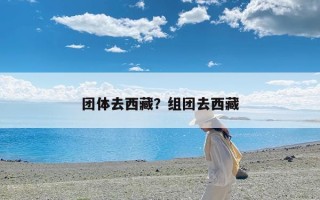 团体去西藏？组团去西藏