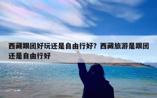 西藏跟团好玩还是自由行好？西藏旅游是跟团还是自由行好