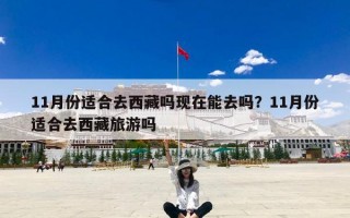 11月份适合去西藏吗现在能去吗？11月份适合去西藏旅游吗