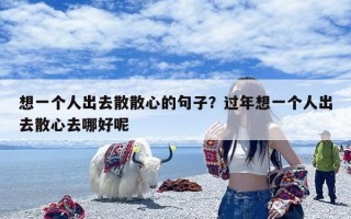 想一个人出去散散心的句子？过年想一个人出去散心去哪好呢