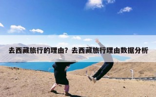 去西藏旅行的理由？去西藏旅行理由数据分析