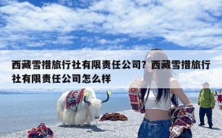 西藏雪措旅行社有限责任公司？西藏雪措旅行社有限责任公司怎么样