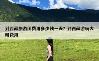 到西藏旅游团费用多少钱一天？到西藏游玩大概费用