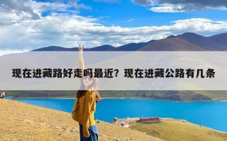 现在进藏路好走吗最近？现在进藏公路有几条