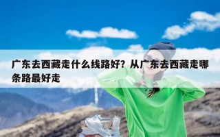 广东去西藏走什么线路好？从广东去西藏走哪条路最好走