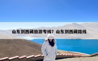 山东到西藏旅游专线？山东到西藏路线