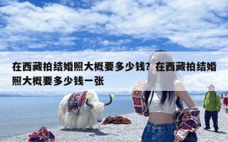 在西藏拍结婚照大概要多少钱？在西藏拍结婚照大概要多少钱一张