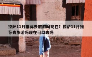 拉萨11月推荐去旅游吗现在？拉萨11月推荐去旅游吗现在可以去吗