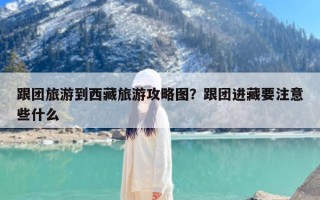 跟团旅游到西藏旅游攻略图？跟团进藏要注意些什么