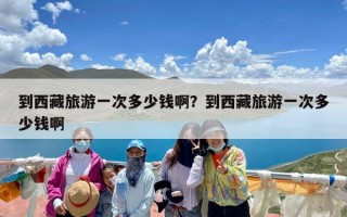 到西藏旅游一次多少钱啊？到西藏旅游一次多少钱啊