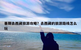 暑期去西藏旅游攻略？去西藏的旅游路线怎么玩