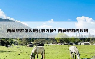 西藏旅游怎么玩比较方便？西藏旅游的攻略